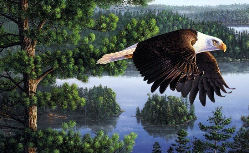 Полёт - оригинал