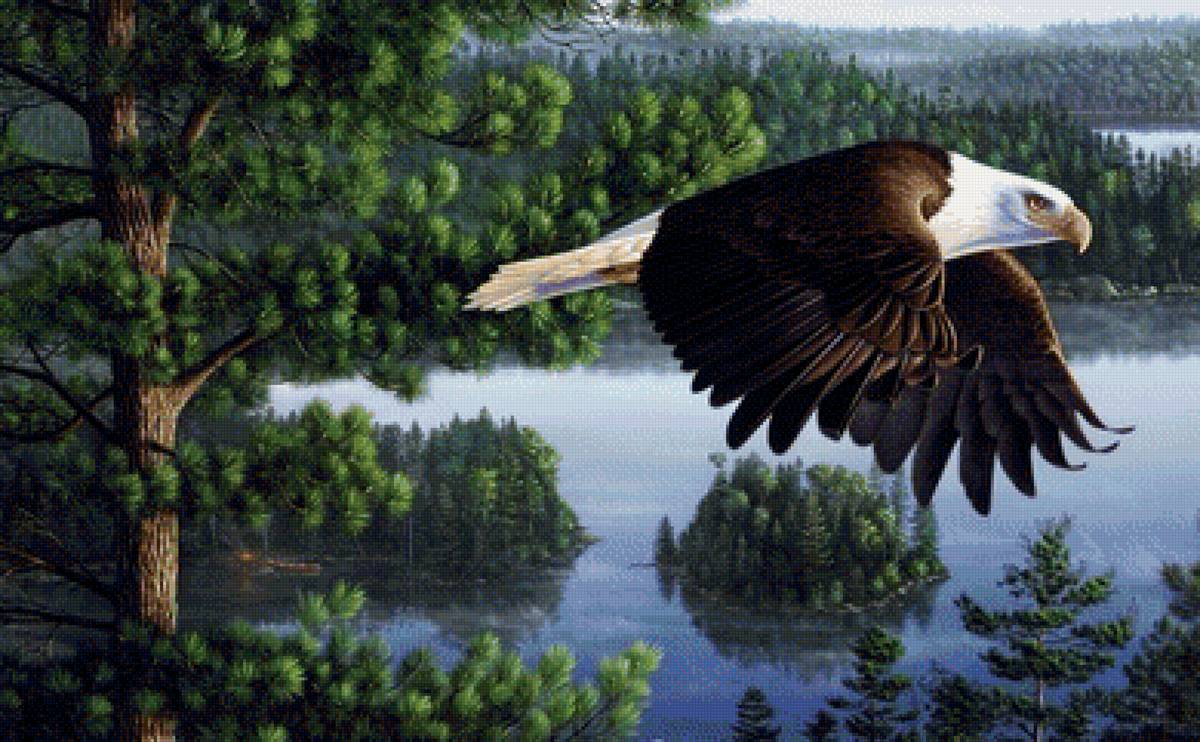 Полёт - предпросмотр