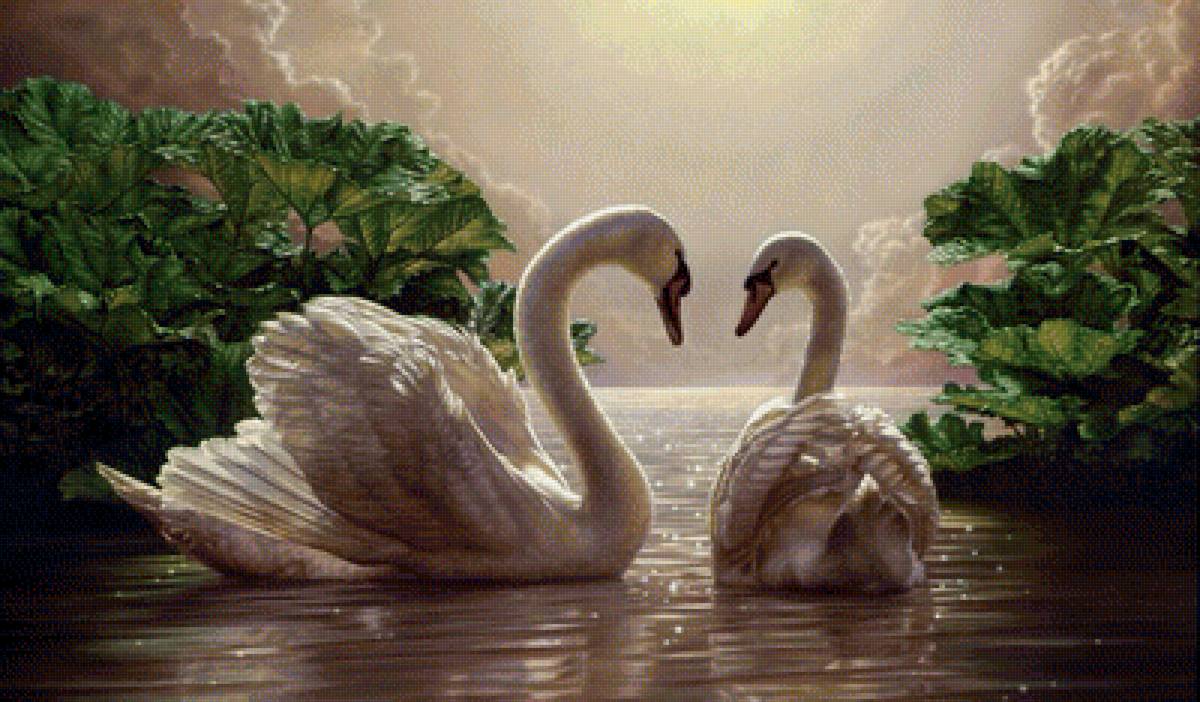 Лебеди - предпросмотр