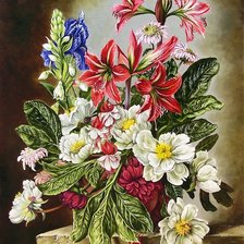 Схема вышивки «№1587330»