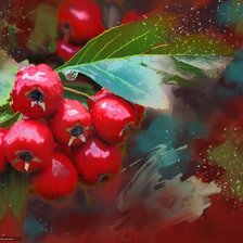 Схема вышивки «рябина»