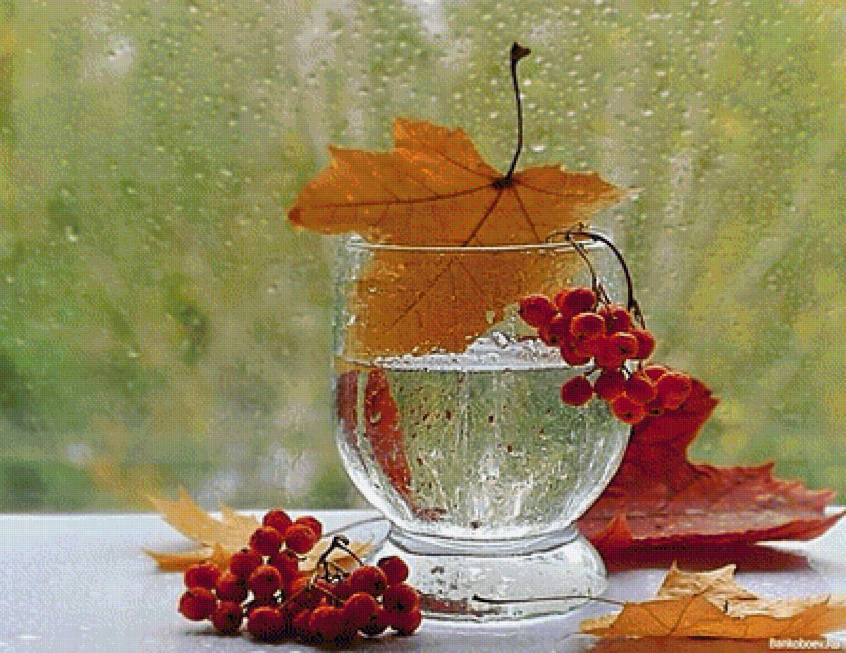 Натюрморт с дождём. - осенние листья. рябина, натюрморт., дождь - предпросмотр