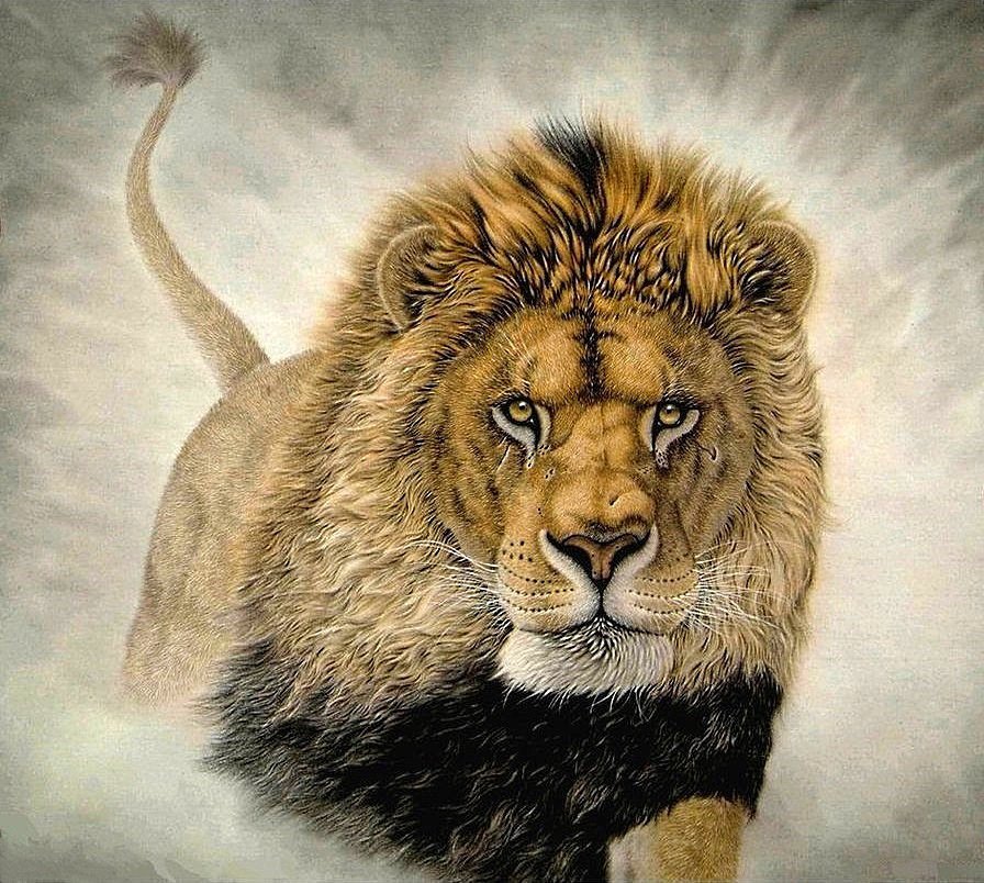 король-лев - хищники, лев - оригинал