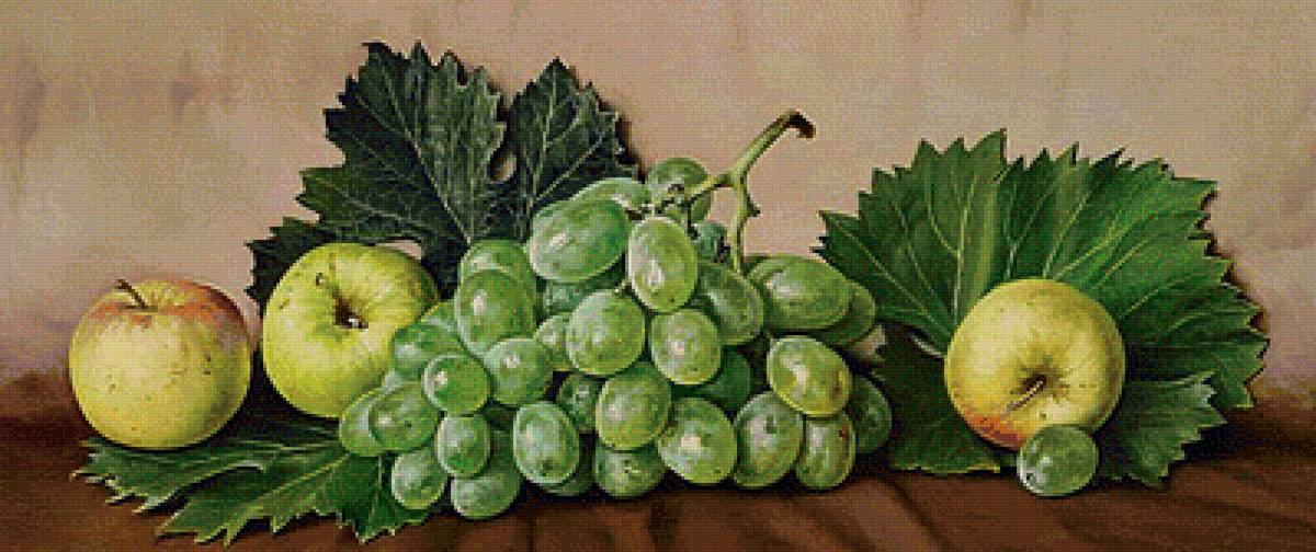 Яблоки и виноград - натюрморт, фрукты, гроздь, виноград, яблоки - предпросмотр
