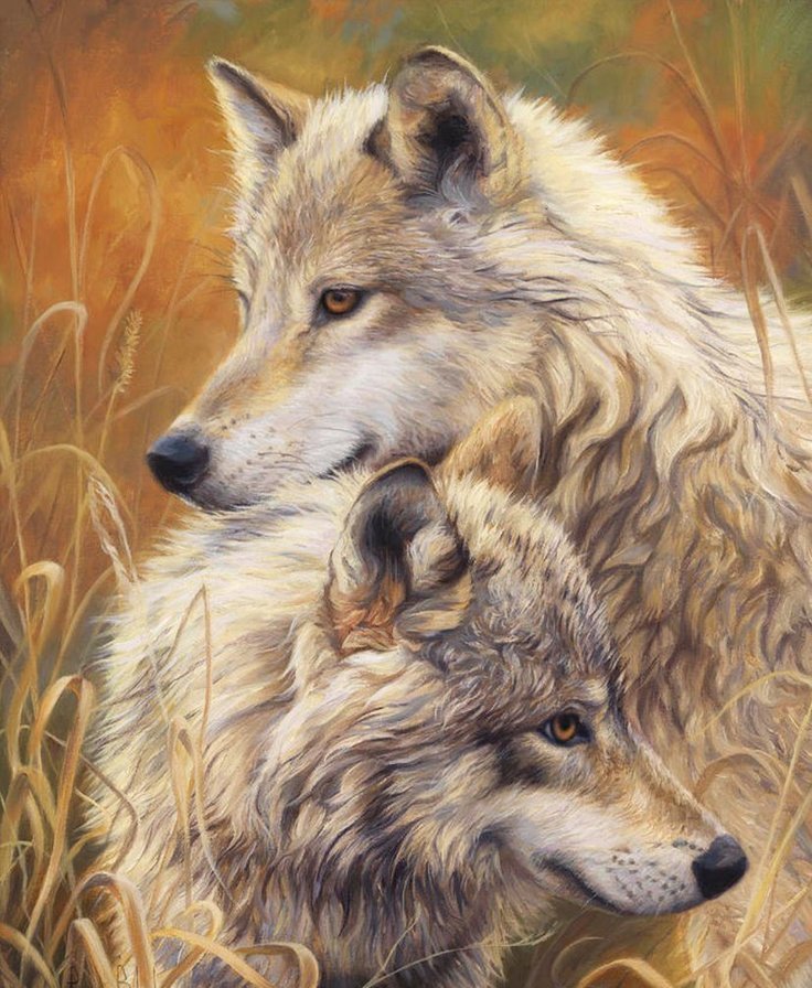 ВОЛКИ - дикие животные, волки, природа - оригинал