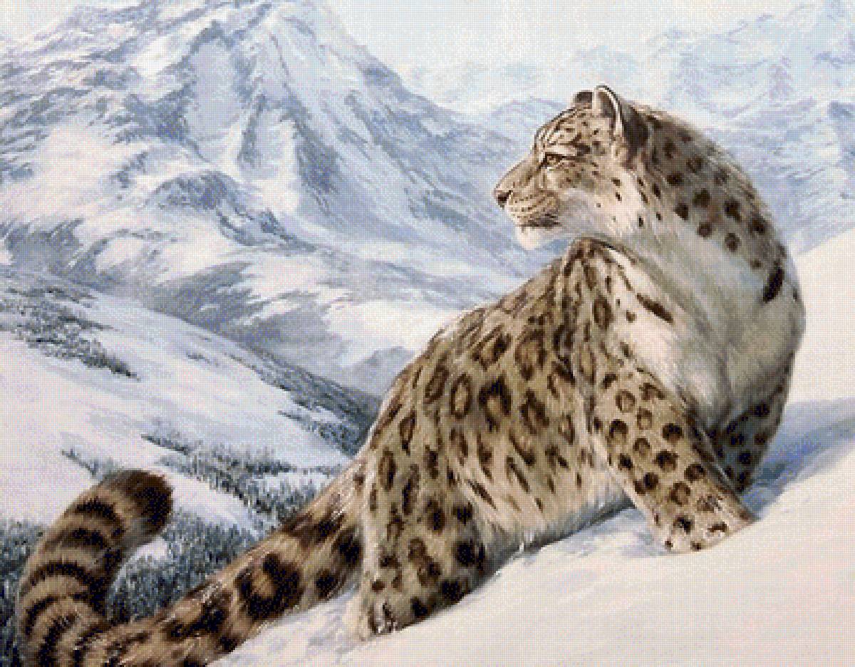 Барс - дикие животные, природа, барс - предпросмотр