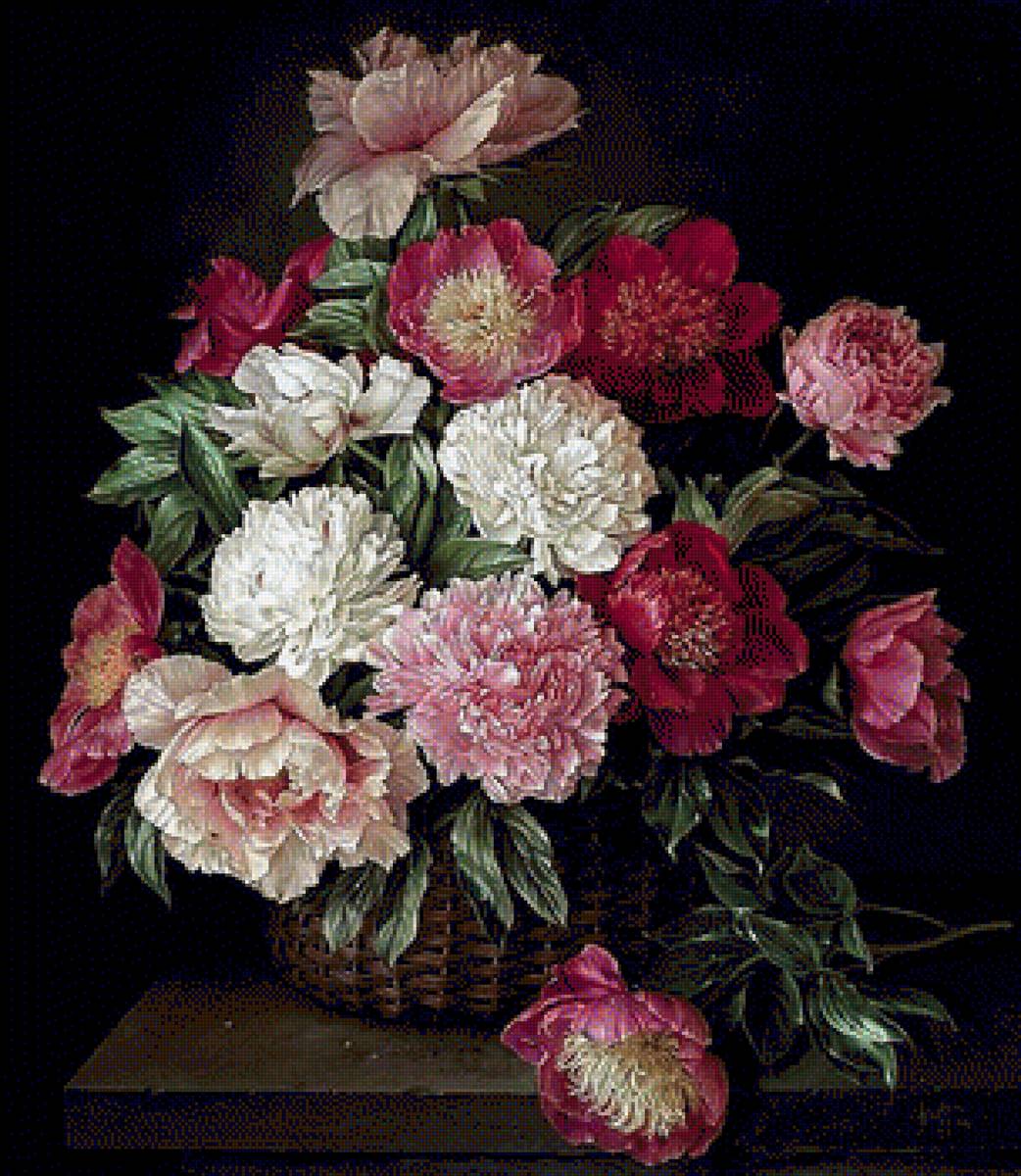 piwonie w koszu - предпросмотр