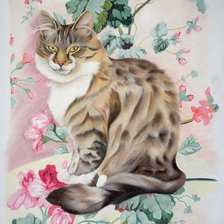 Схема вышивки «Кот»