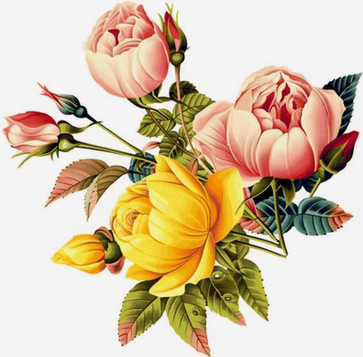 №1589590 - предпросмотр