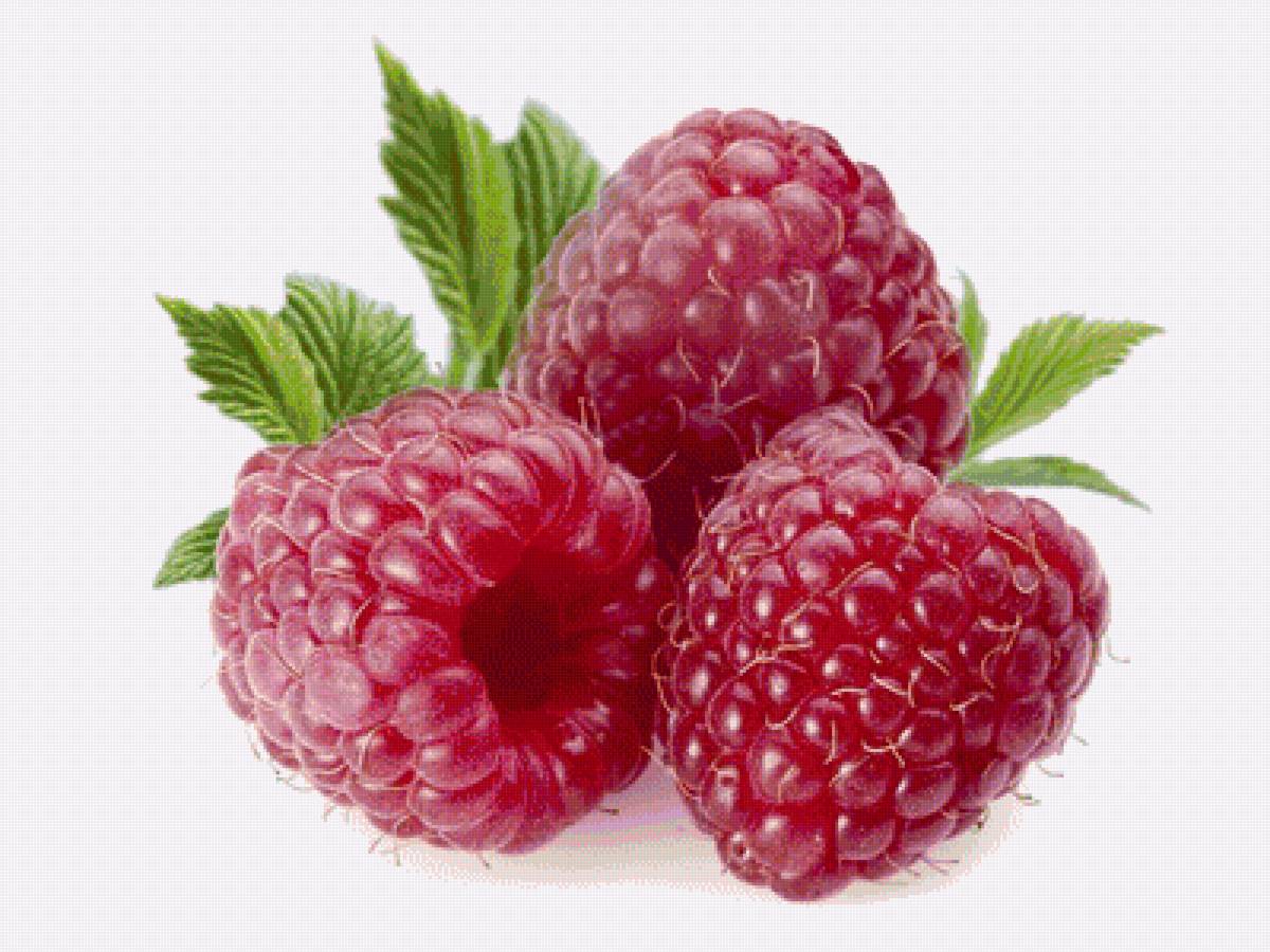 малина - ягоды - предпросмотр