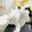 Предпросмотр схемы вышивки «váza,kvety» (№1590299)
