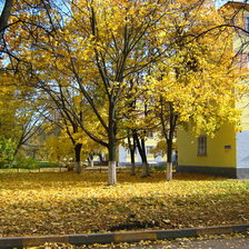 Осень в городе