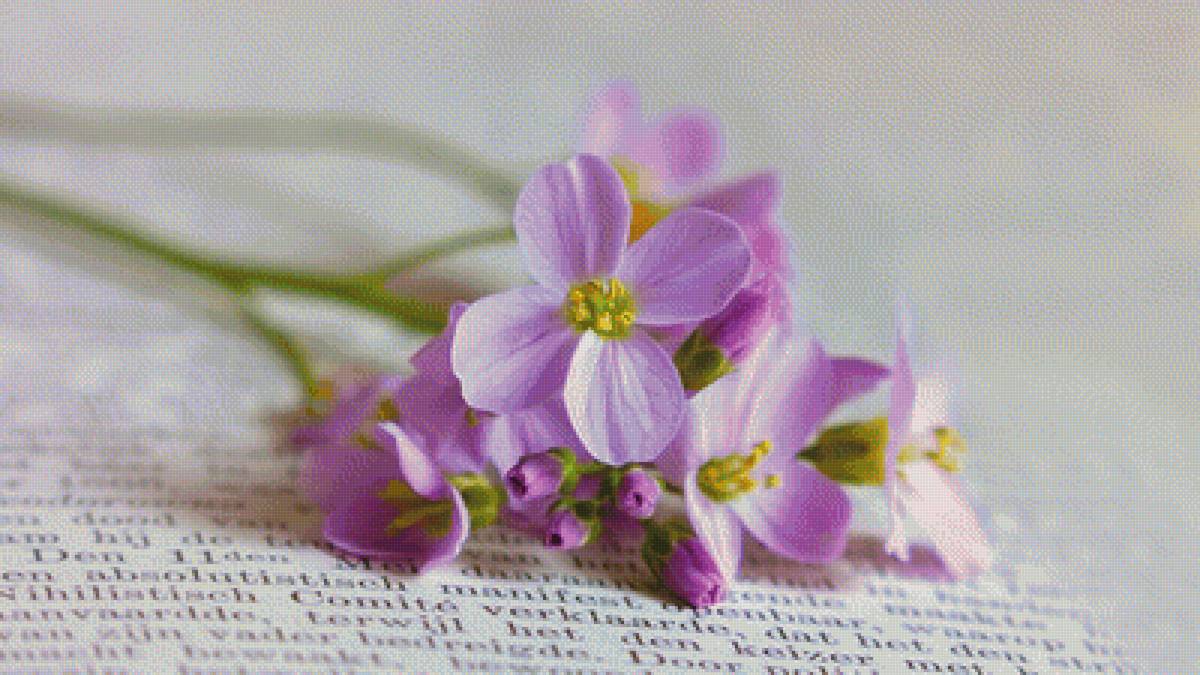 Сама нежность 2 - цветы - предпросмотр