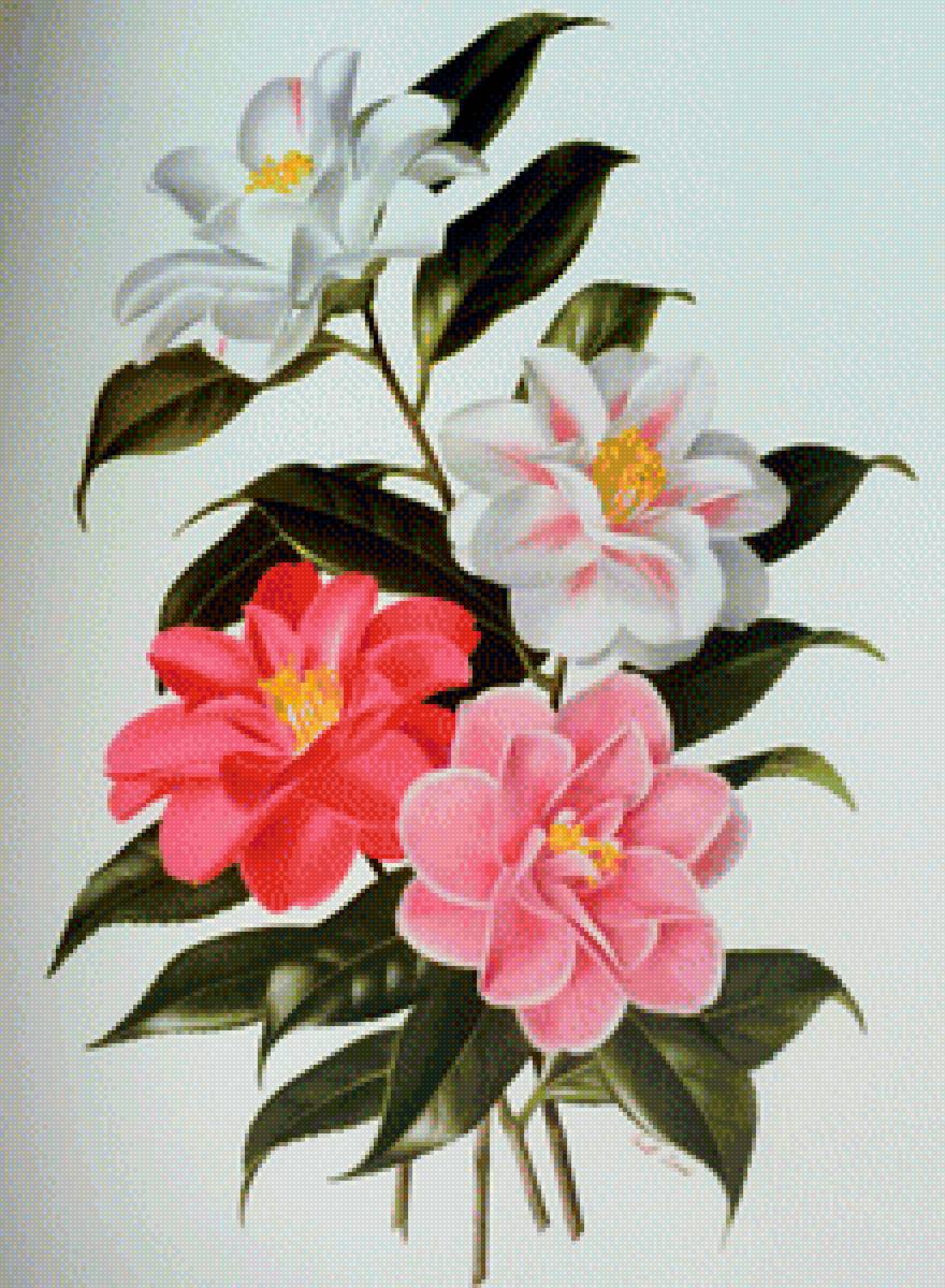 Букет - вышивка крестиком - предпросмотр