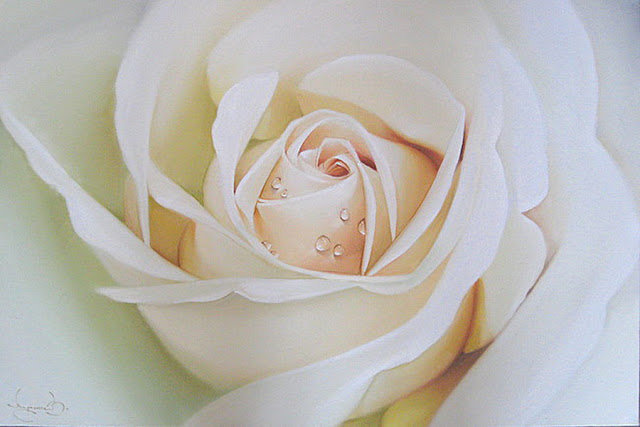 РОЗА - розы - оригинал