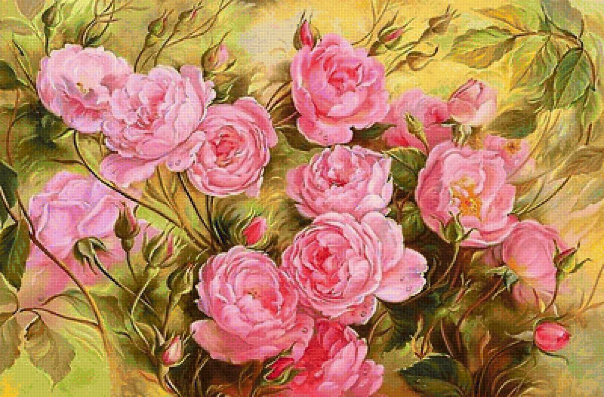 розовое чудо - роза, розовые цветы, розы - предпросмотр
