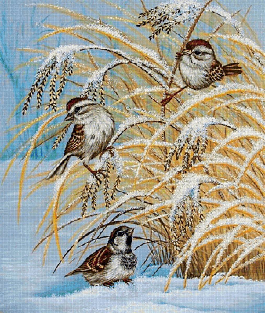 птички-невелички - птица, воробьи, снег, зима, птицы - предпросмотр