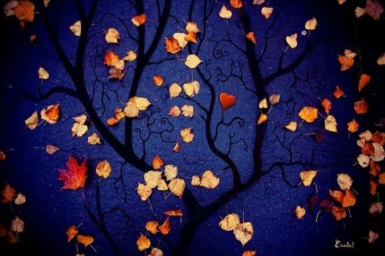 тигр - оригинал