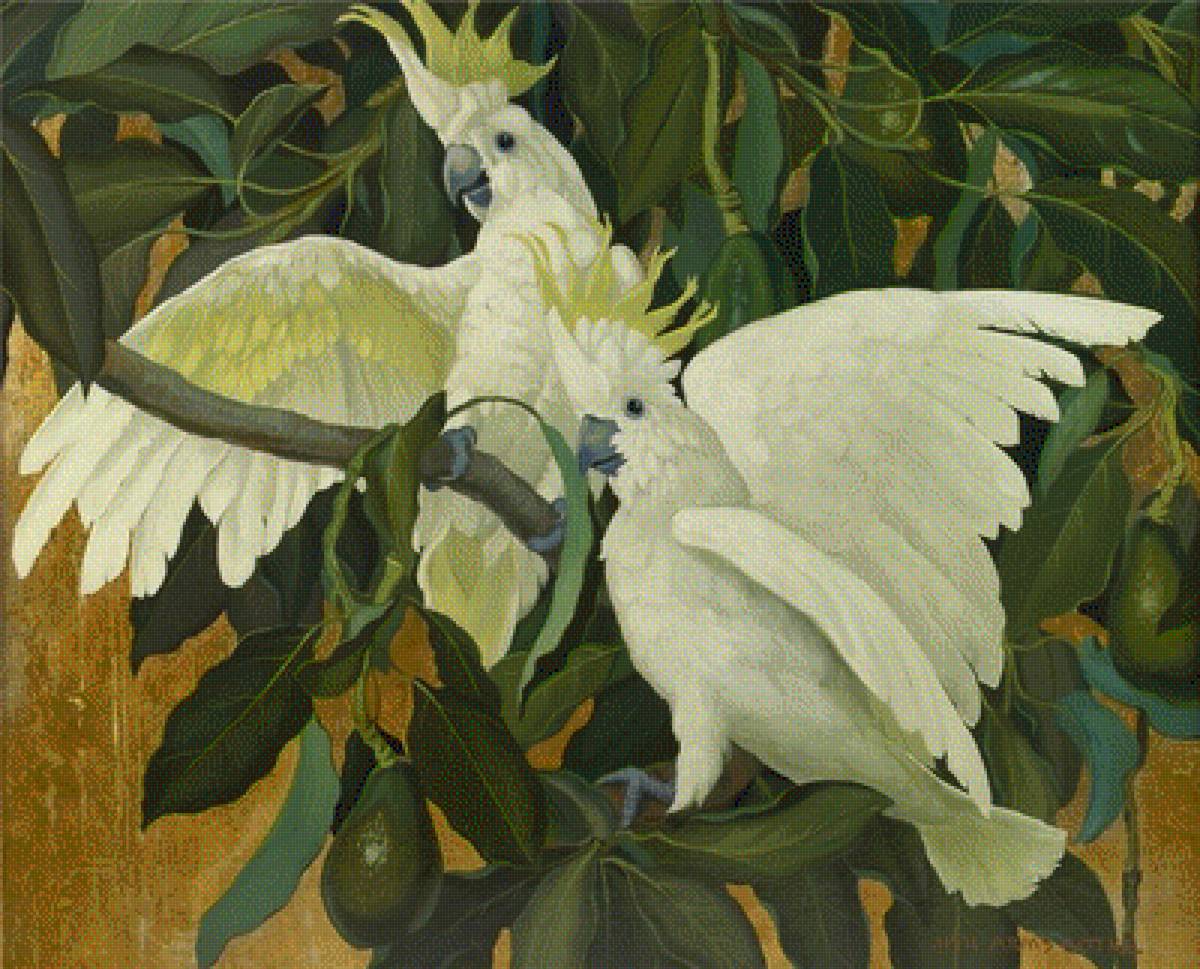 Pticy - предпросмотр