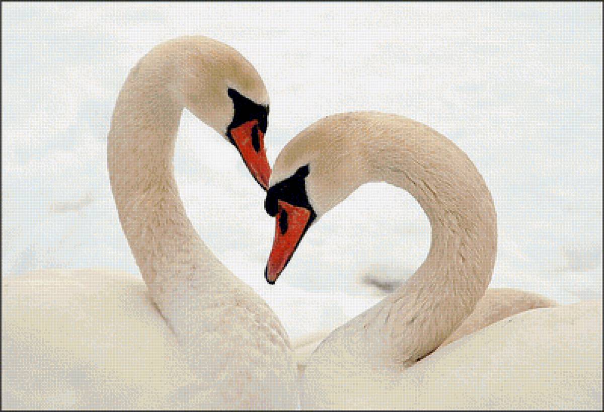 №1592509 - предпросмотр