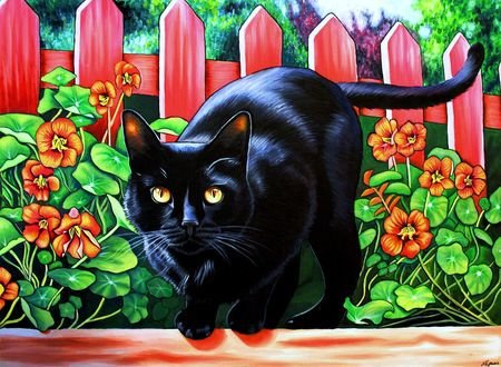 Кот - животные - оригинал