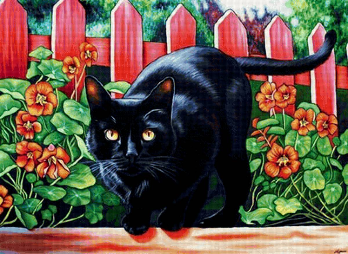 Кот - животные - предпросмотр