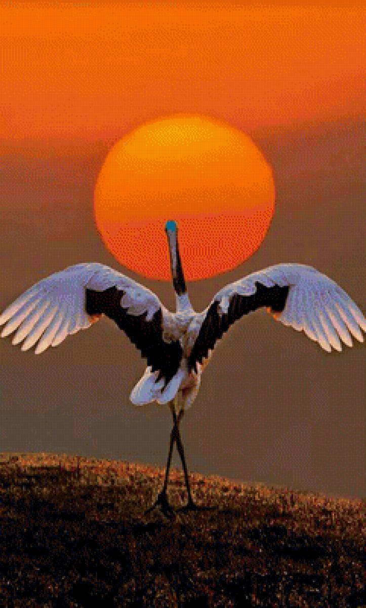 Птица - предпросмотр