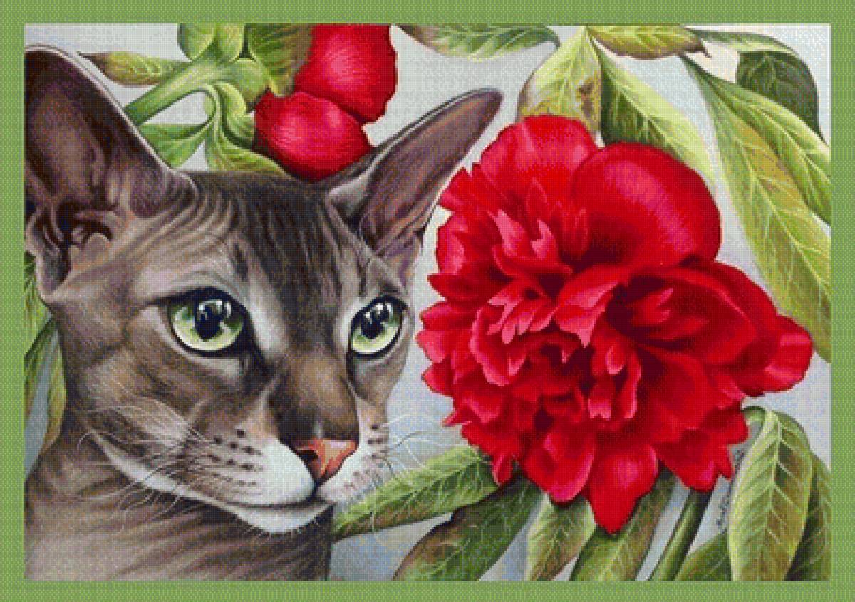 mačka,kvety - предпросмотр
