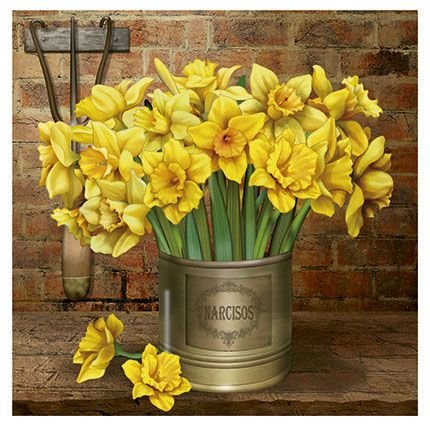 Narcisos - flores - оригинал
