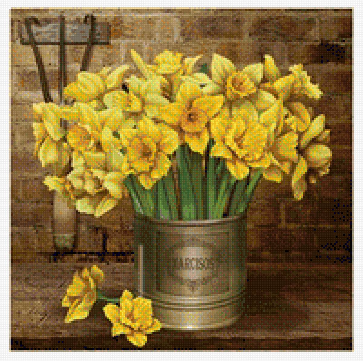 Narcisos - flores - предпросмотр