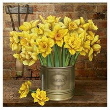 Схема вышивки «Narcisos»