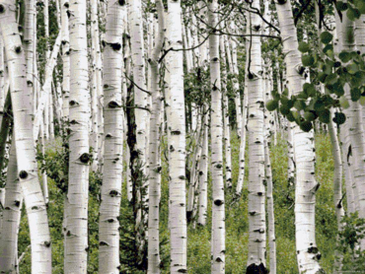 №1593233 - предпросмотр