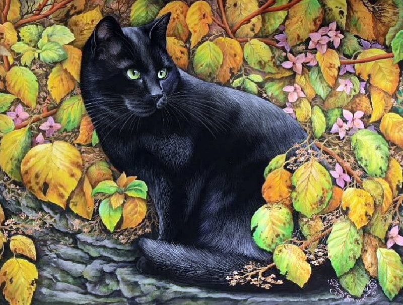 Кот - животные - оригинал