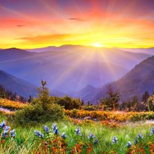 Схема вышивки «Amanecer»