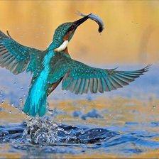 Схема вышивки «Martín pescador»