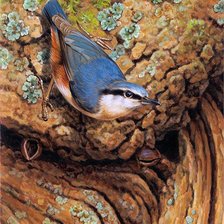 Схема вышивки «Поползень»