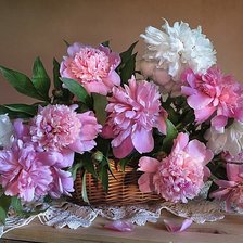 Схема вышивки «pivonie»