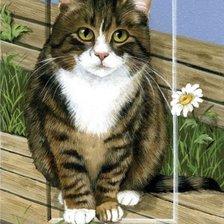 Схема вышивки «№1593935»