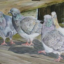 Схема вышивки «Голуби»