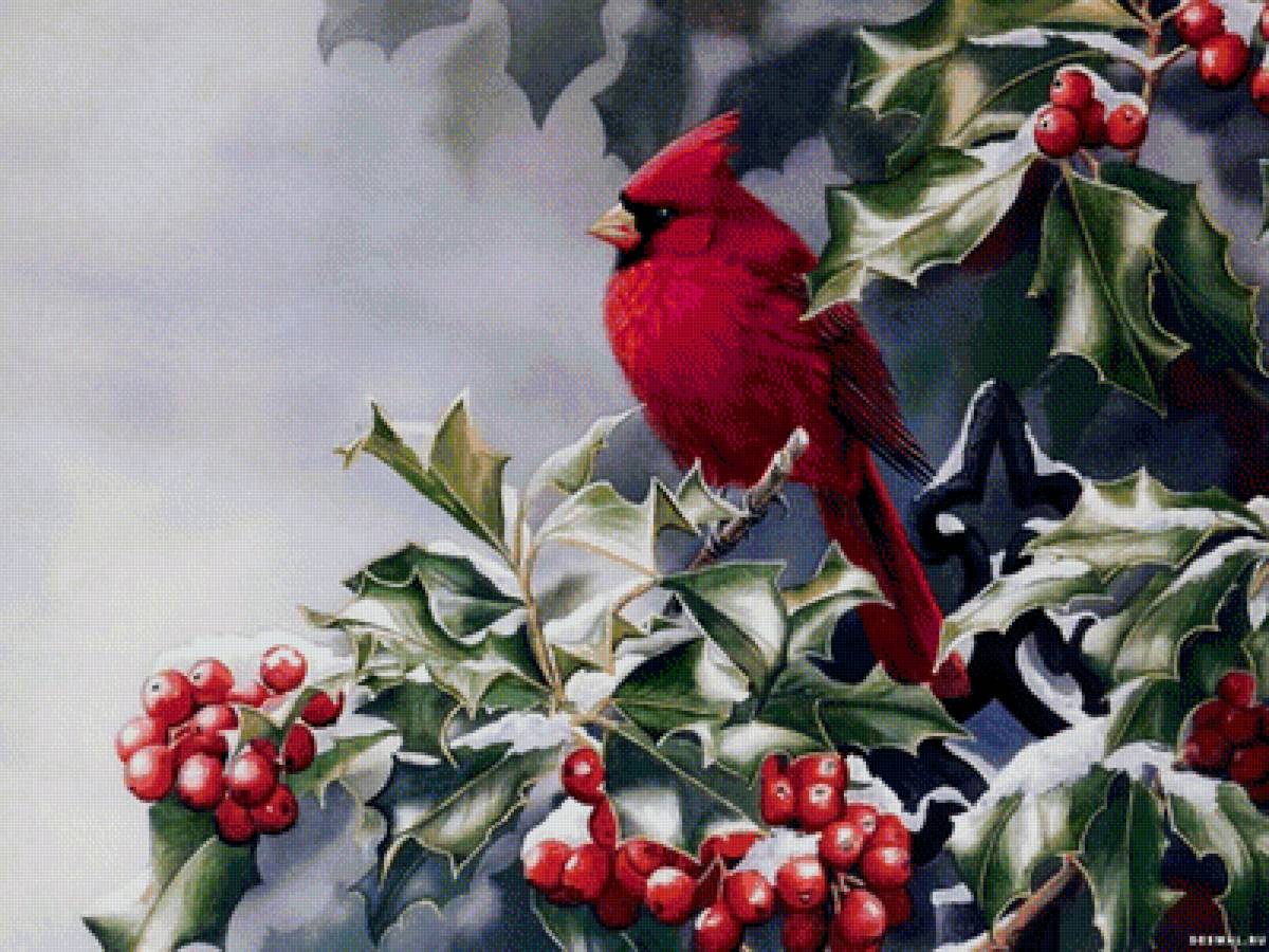 Мир птиц - кардинал, птица, зима - предпросмотр