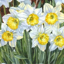 Схема вышивки «№1594620»