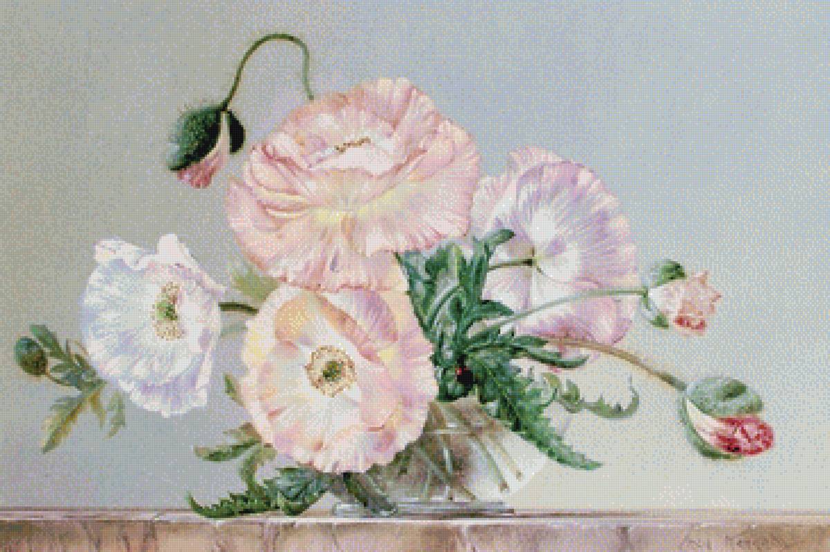 maky - предпросмотр