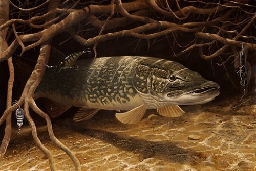 Щука в засаде - оригинал