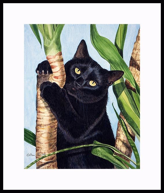 Кот - животные - оригинал