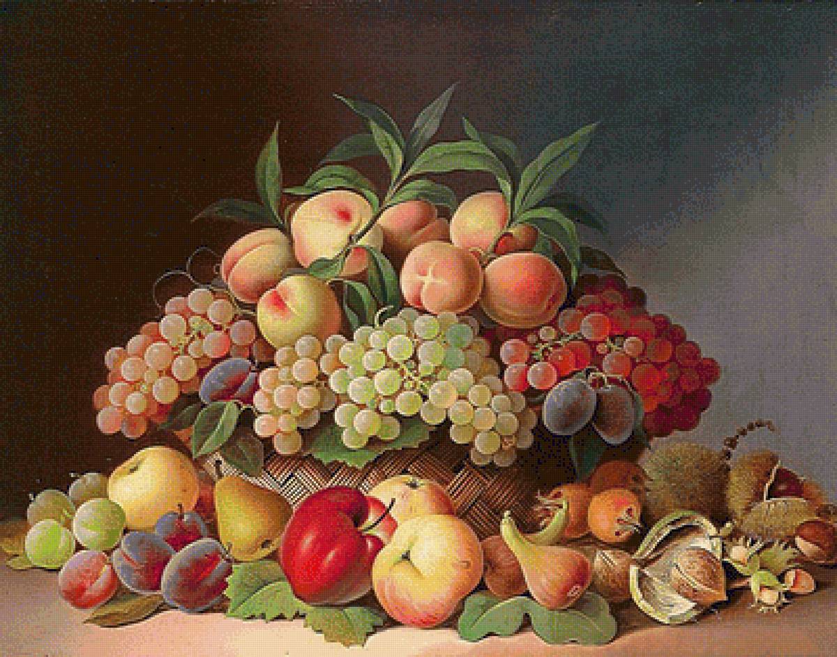 №1595458 - предпросмотр