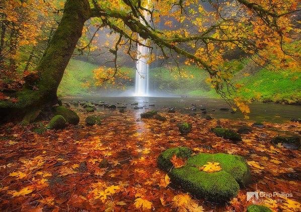 Outono - paisagem - оригинал