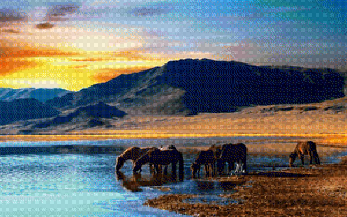 Cavalos - animais - предпросмотр