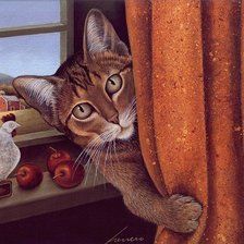 Схема вышивки «Кот»