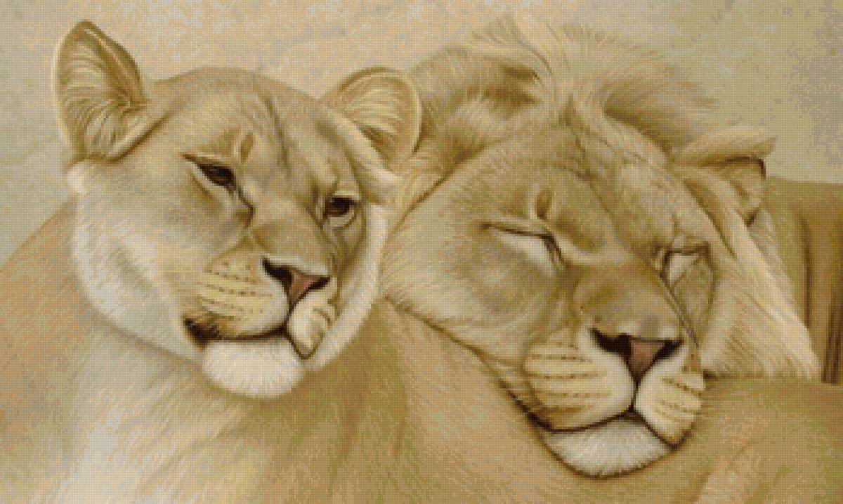 Львы - животные - предпросмотр