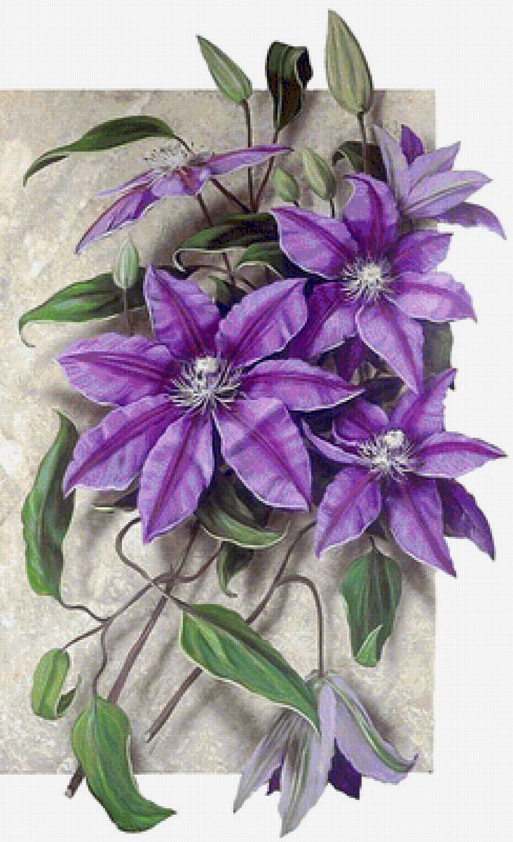 №1595859 - предпросмотр